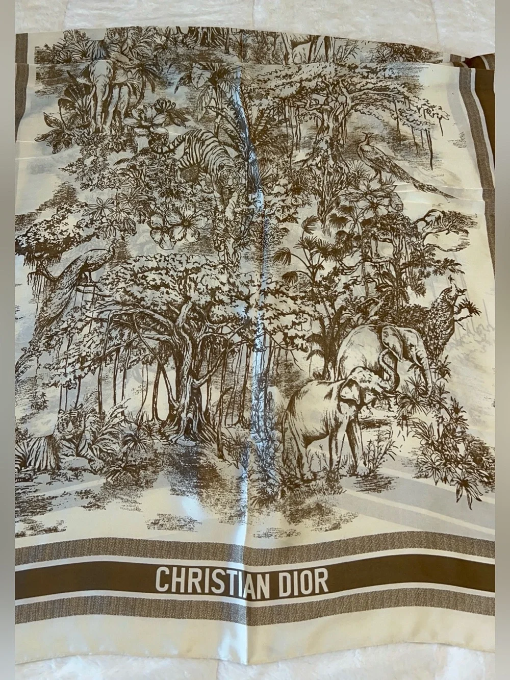 CD silk long scarf